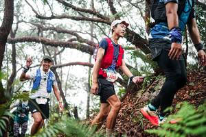 BIB: 
                            <button type="button" onclick="openModal(26297661)" class="btn btn-primary btn-sm float-right btn-popup" data-toggle="modal" data-target=".modal-high-quality">
                        <i class="fas fa-shopping-cart"></i> Add to Cart
                    </button>
                                            <button type="button" onclick="isThisMe(26297661, true)" class="btn btn-success btn-sm float-right btn-popup btn-isme hidden" data-toggle="tooltip" data-placement="bottom" title="นี่คือรูปของคุณใช่ไหม คลิกที่นี่เพื่อเอาเข้าอัลบั้ม">
                        <i class="fas fa-plus"></i> Add to album
                    </button>
                    <button type="button" onclick="isThisMe(26297661, false)" class="btn btn-warning btn-sm float-right btn-popup btn-isnotme hidden">
                        <i class="fas fa-ban"></i> Remove from album
                    </button>